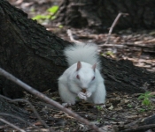2016 06 11 WildLife MPLS 107